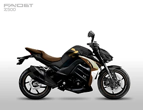 Мотоцикл FAIDET Z500 DEVIL Мотоцикл FAIDET Z500 DEVIL