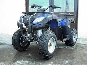 Квадроцикл Мотомир BEORN 200 Квадроцикл Мотомир BEORN 200