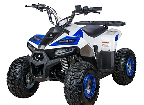 Квадроцикл Yacota Raposa 130 PRO-SPORT